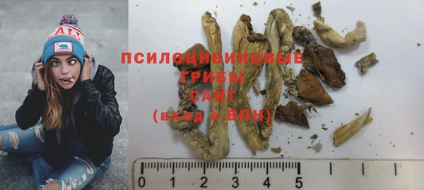 спиды Тайга