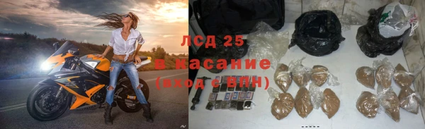 спиды Тайга