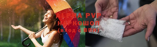 спиды Тайга