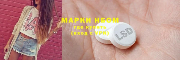 спиды Тайга